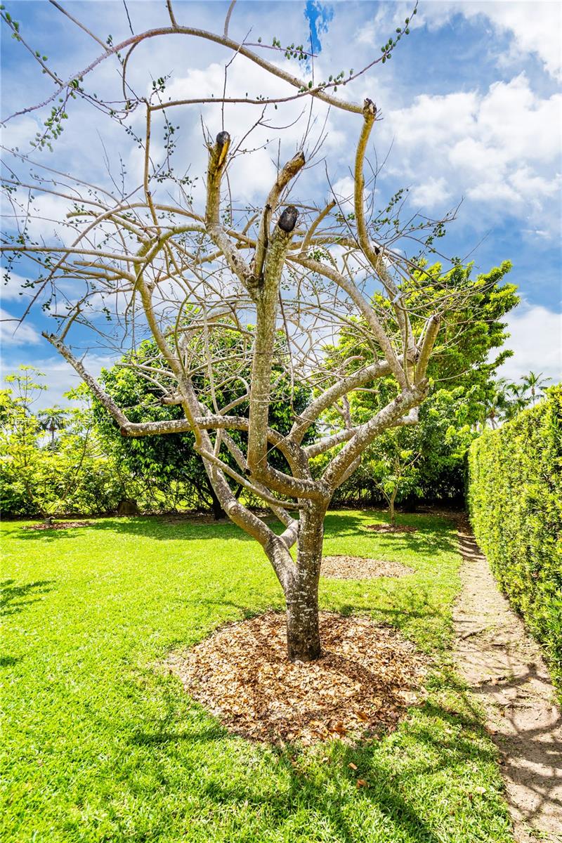 5662 SW 103rd Ct, Miami, Florida 33173, 5 Bedrooms Bedrooms, ,4 BathroomsBathrooms,Residential,For Sale,5662 SW 103rd Ct,A11557526