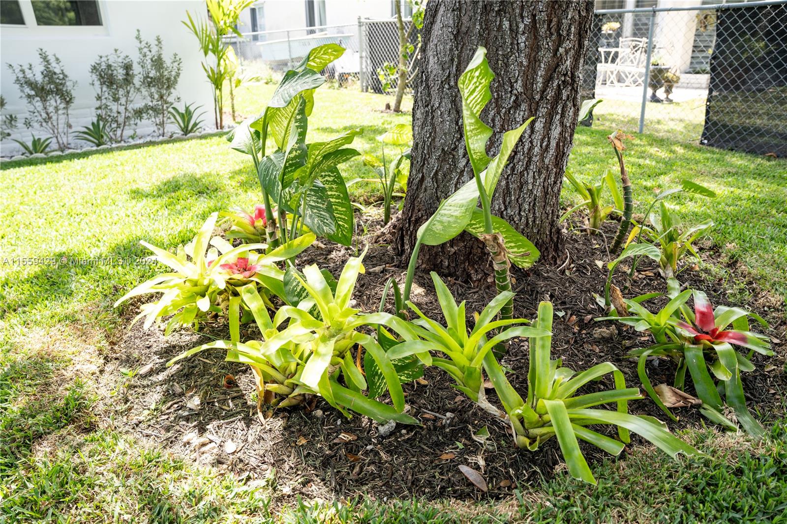 1640 NE 172nd St, North Miami Beach, Florida 33162, 3 Bedrooms Bedrooms, ,2 BathroomsBathrooms,Residential,For Sale,1640 NE 172nd St,A11559429