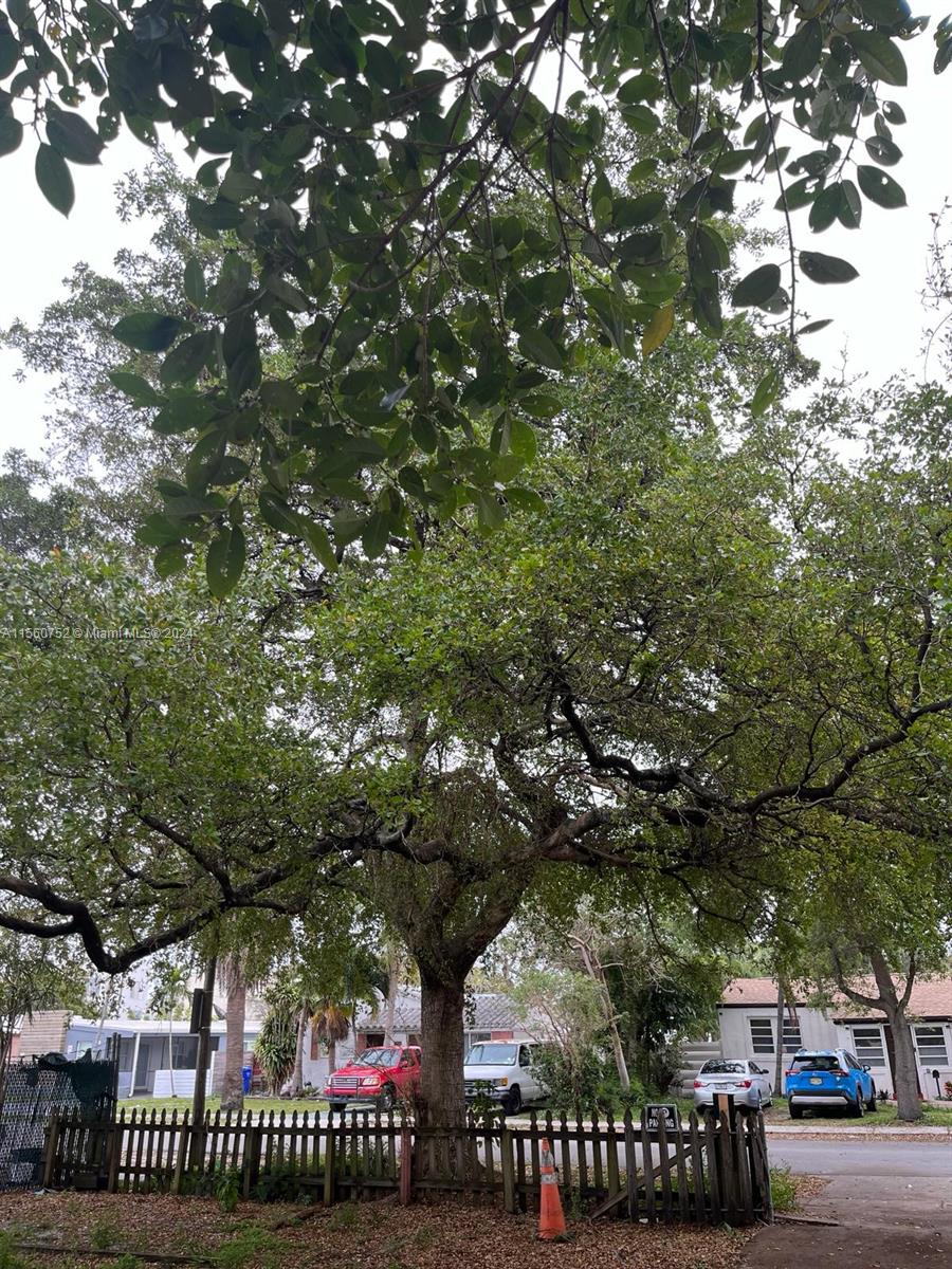 1819 Scott St, Hollywood, Florida 33020, 2 Bedrooms Bedrooms, ,1 BathroomBathrooms,Residentiallease,For Rent,1819 Scott St,A11560752