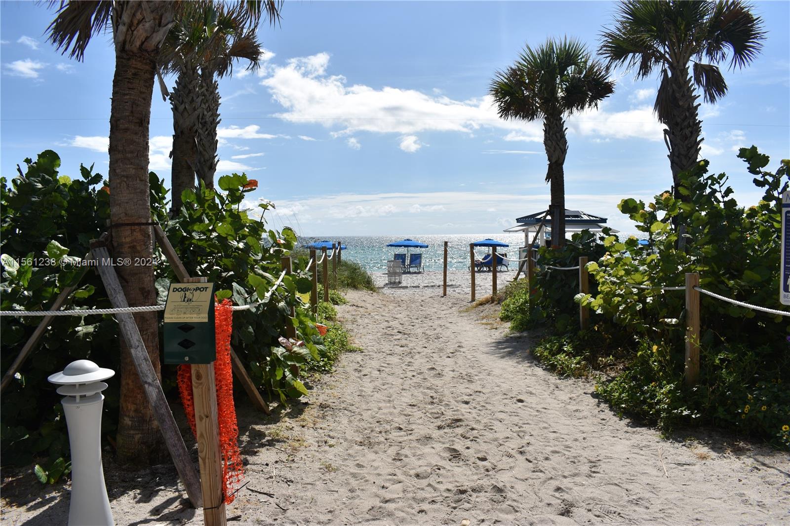 6365 Collins Ave 2010, Miami Beach, Florida 33141, 1 Bedroom Bedrooms, ,1 BathroomBathrooms,Residentiallease,For Rent,6365 Collins Ave 2010,A11561238