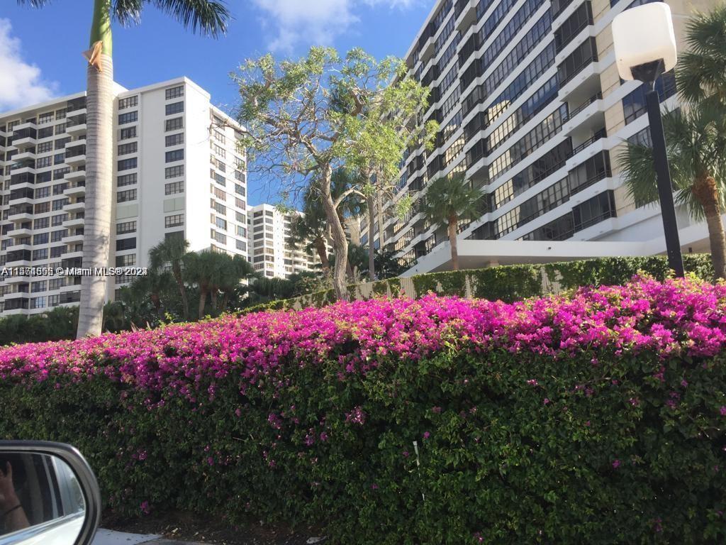 2500 Parkview Dr 1204, Hallandale Beach, Florida 33009, 1 Bedroom Bedrooms, ,1 BathroomBathrooms,Residentiallease,For Rent,2500 Parkview Dr 1204,A11561355