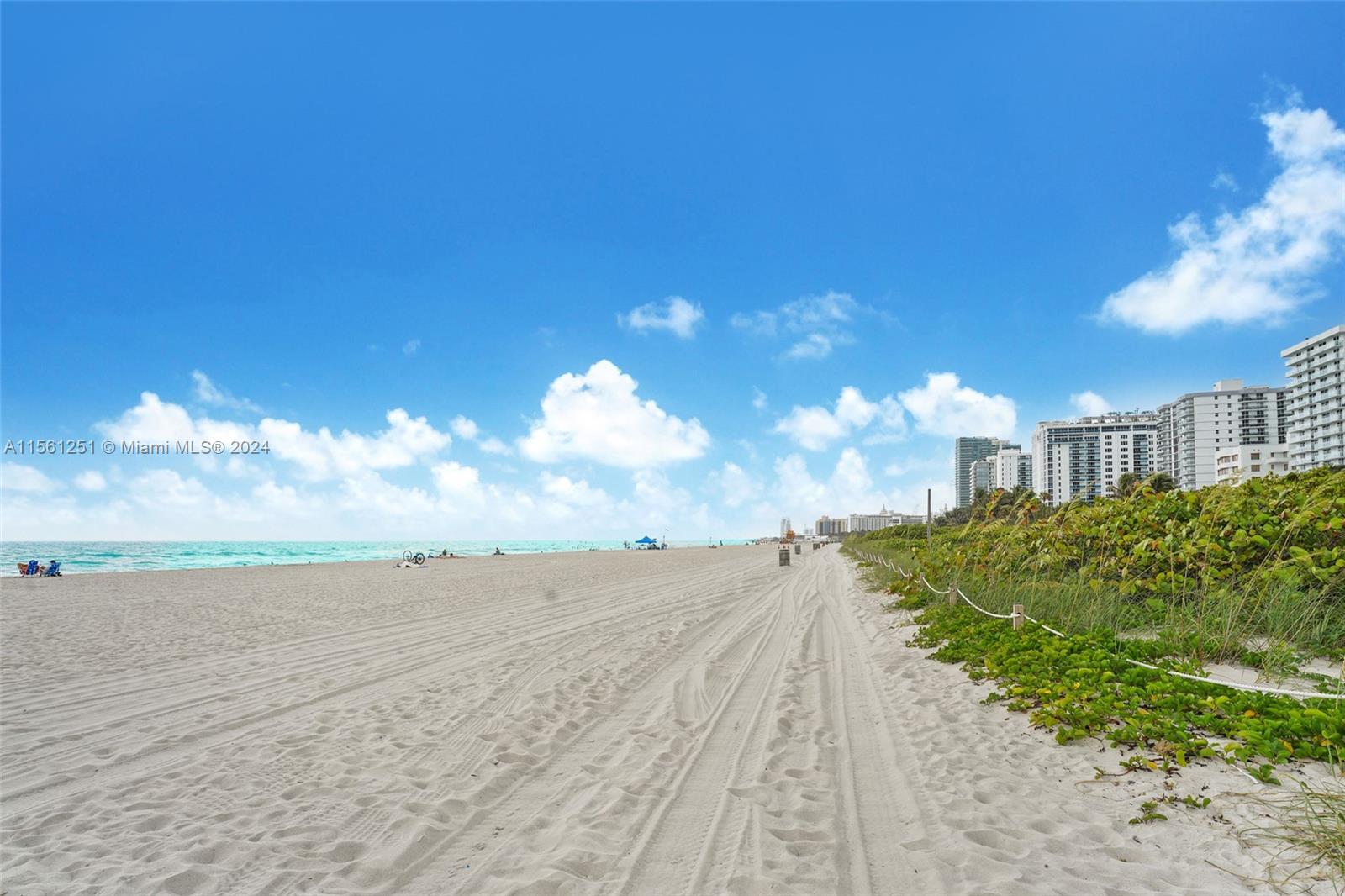 2555 Collins Ave 807, Miami Beach, Florida 33140, 1 Bedroom Bedrooms, ,2 BathroomsBathrooms,Residentiallease,For Rent,2555 Collins Ave 807,A11561251