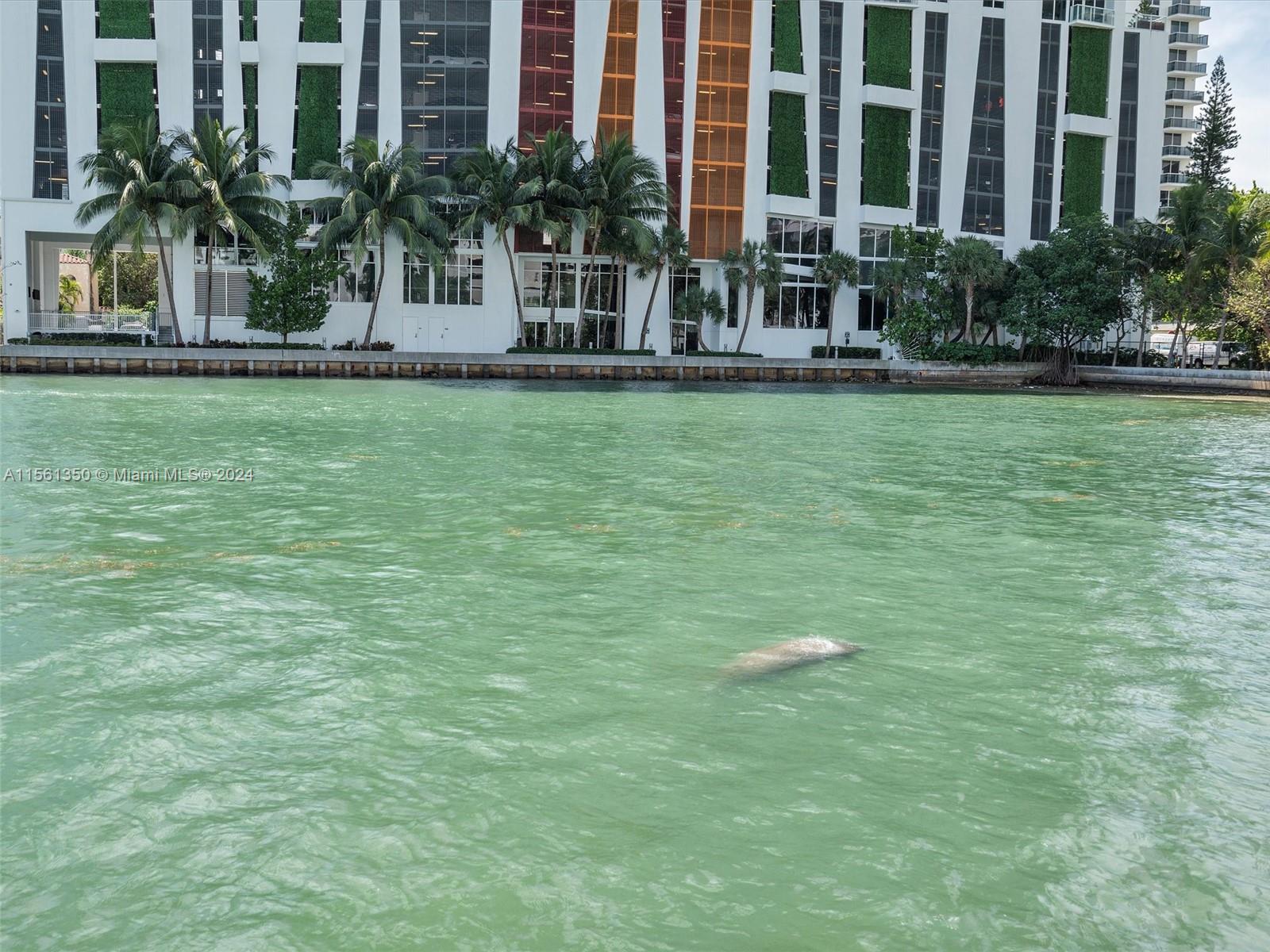 520 NE 29th St TH2, Miami, Florida 33137, 1 Bedroom Bedrooms, ,1 BathroomBathrooms,Residential,For Sale,520 NE 29th St TH2,A11561350