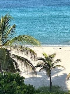 901 S Surf Rd 504, Hollywood, Florida 33019, 1 Bedroom Bedrooms, ,1 BathroomBathrooms,Residential,For Sale,901 S Surf Rd 504,A11559617