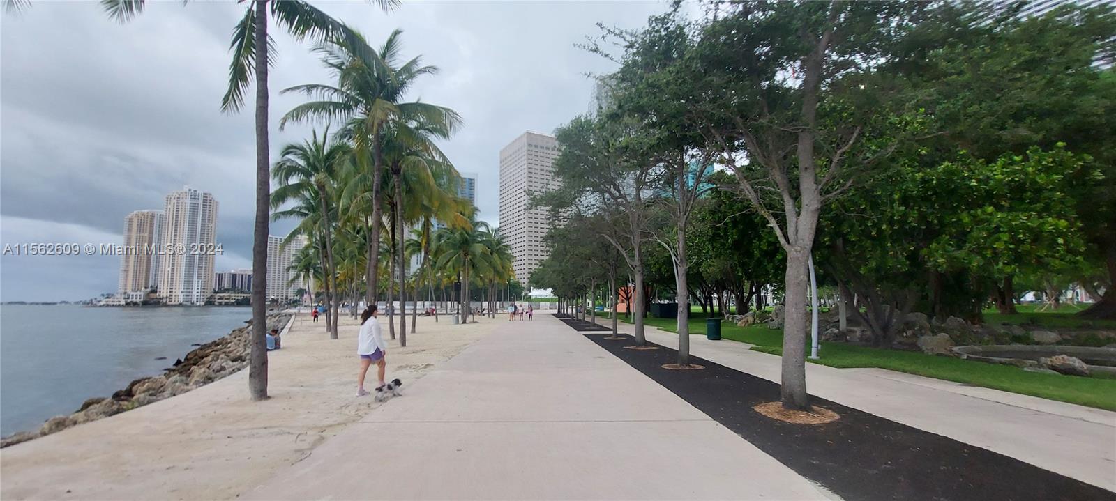 234 NE 3rd St 1508, Miami, Florida 33132, 1 Bedroom Bedrooms, ,1 BathroomBathrooms,Residential,For Sale,234 NE 3rd St 1508,A11562609