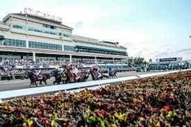 Gulf Stream Race Track​​‌​​​​‌​​‌‌​‌‌​​​‌‌​‌​‌​‌​​​‌​​ Casino-Shops