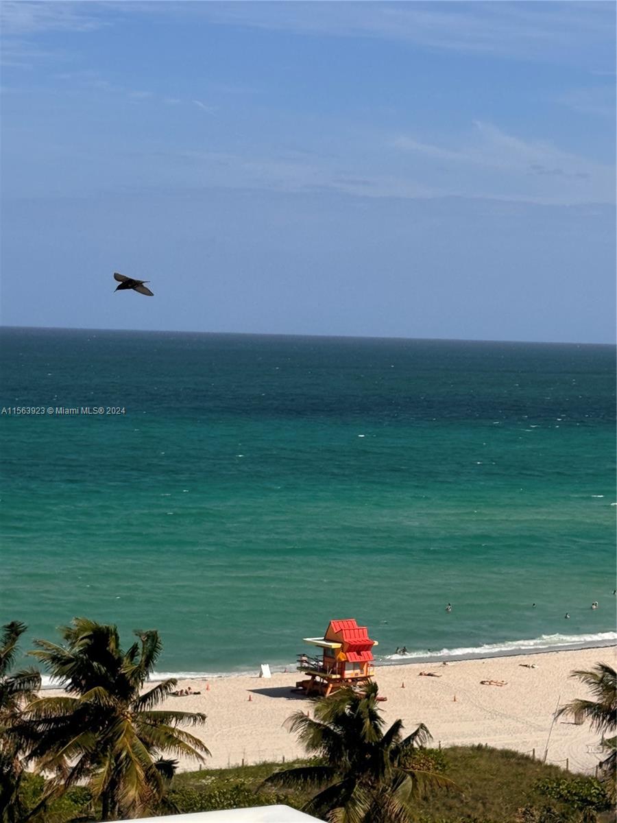 2457 Collins Ave 1105, Miami Beach, Florida 33140, 1 Bedroom Bedrooms, ,1 BathroomBathrooms,Residentiallease,For Rent,2457 Collins Ave 1105,A11563923