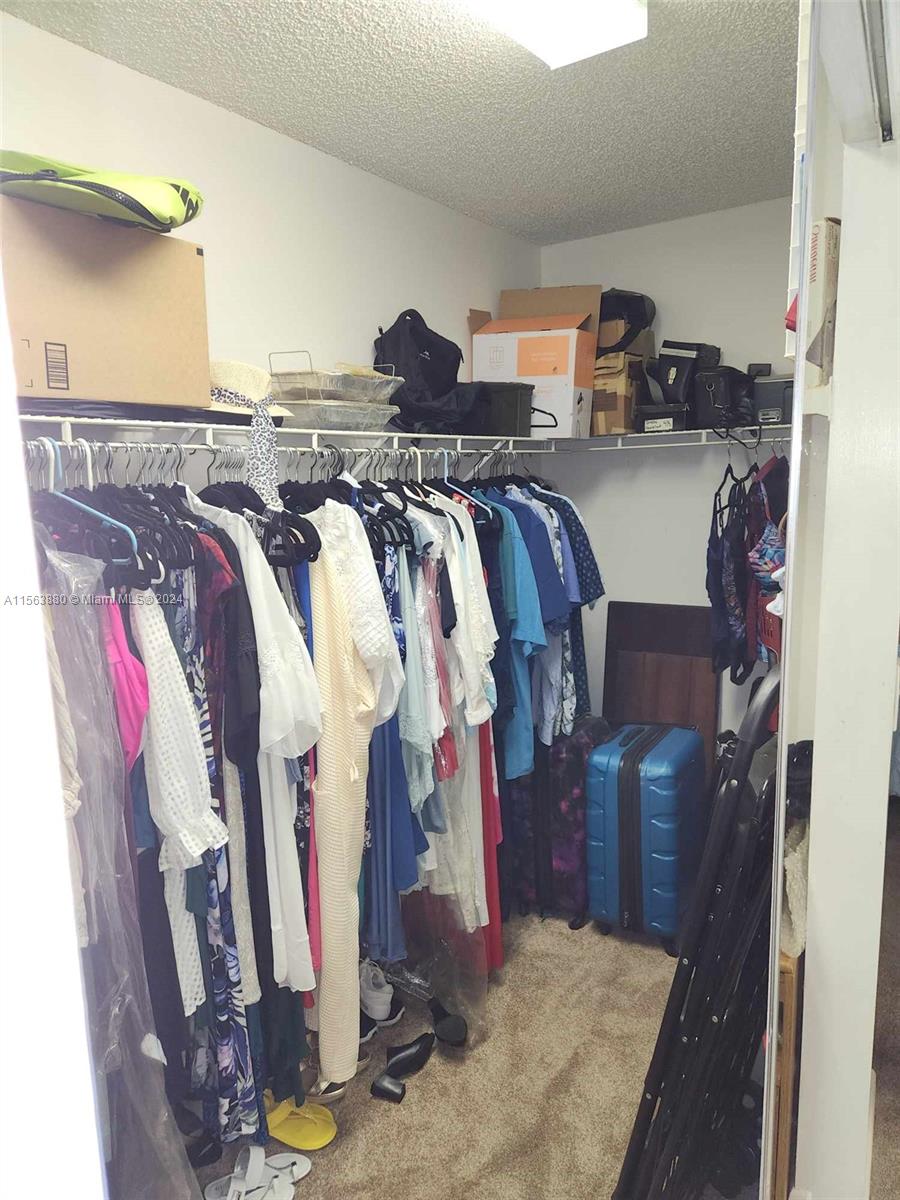 Big walk-in closet