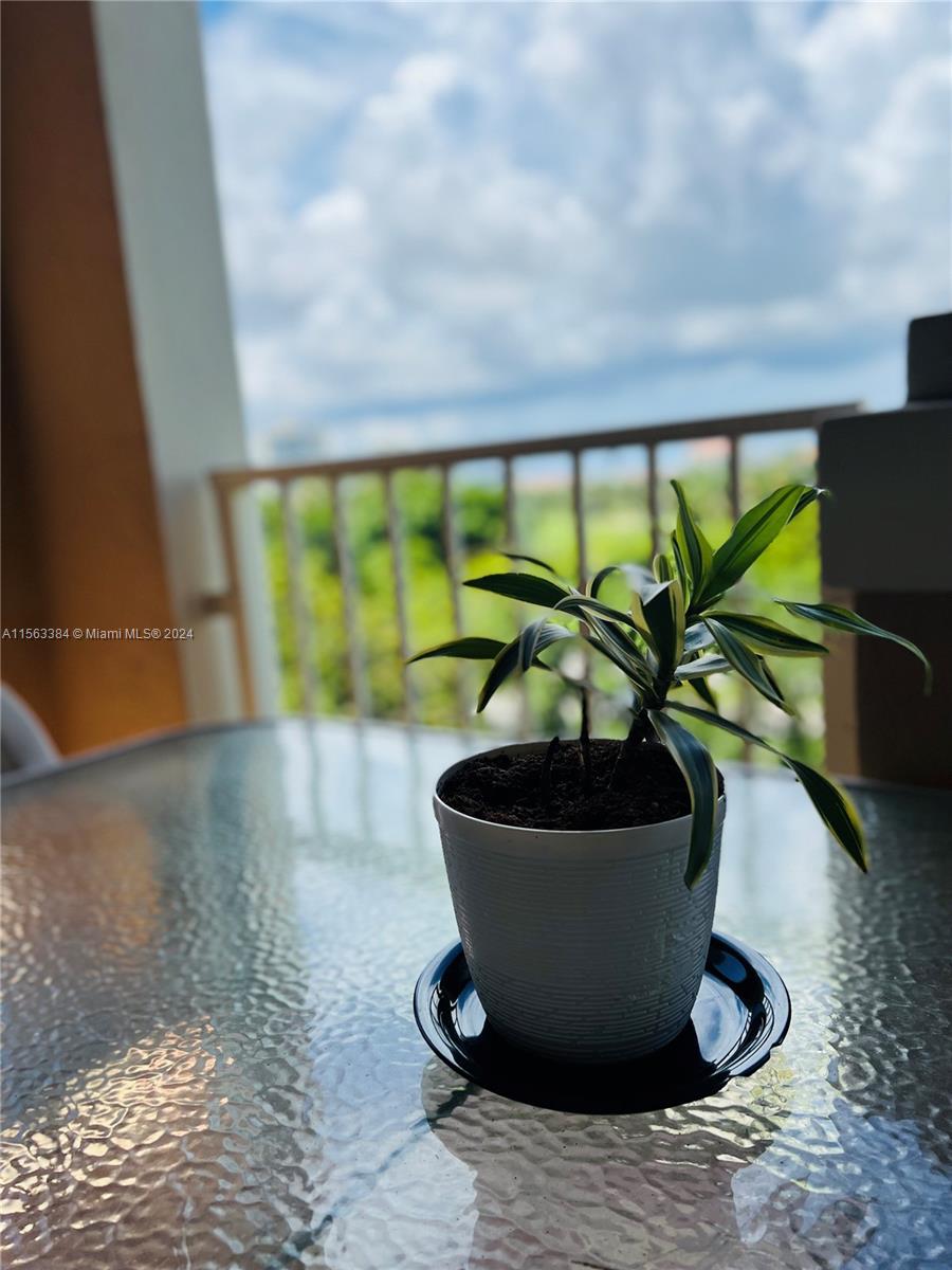 19801 E Country Club Dr 4601, Aventura, Florida 33180, 2 Bedrooms Bedrooms, ,2 BathroomsBathrooms,Residentiallease,For Rent,19801 E Country Club Dr 4601,A11563384