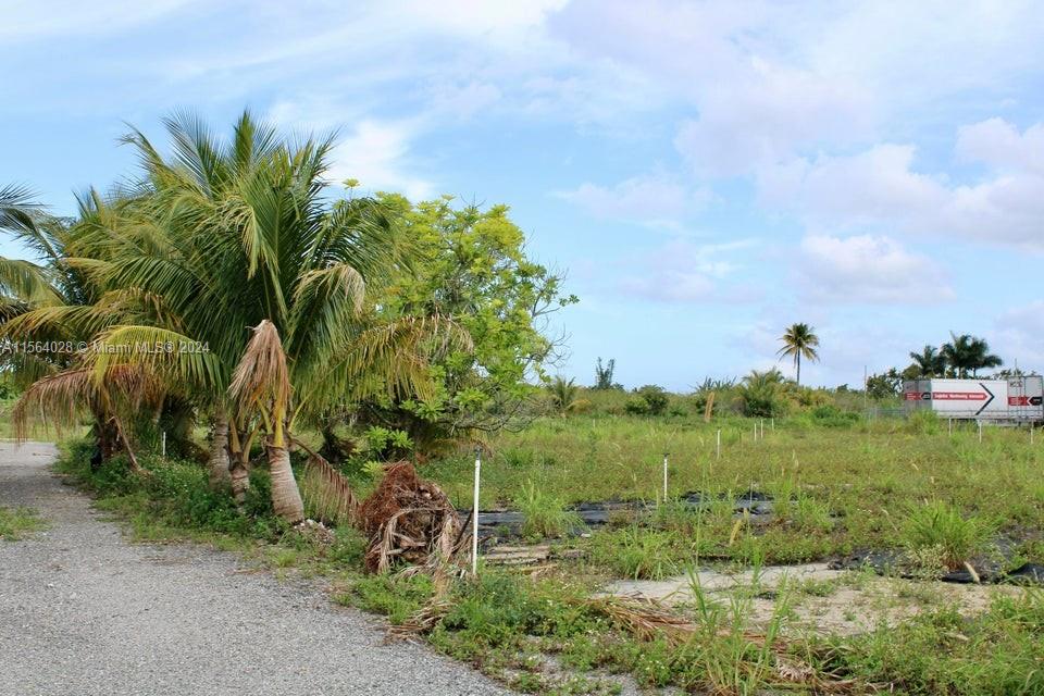 180 St SW 187 Ave, Homestead, Florida 33187-0000, ,Land,For Sale, 180 St SW 187 Ave,A11564028