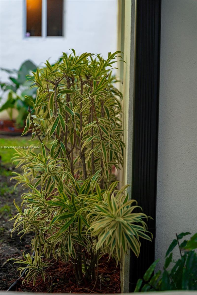 147 NW 87th St, El Portal, Florida 33150, 3 Bedrooms Bedrooms, ,2 BathroomsBathrooms,Residentiallease,For Rent,147 NW 87th St,A11564294