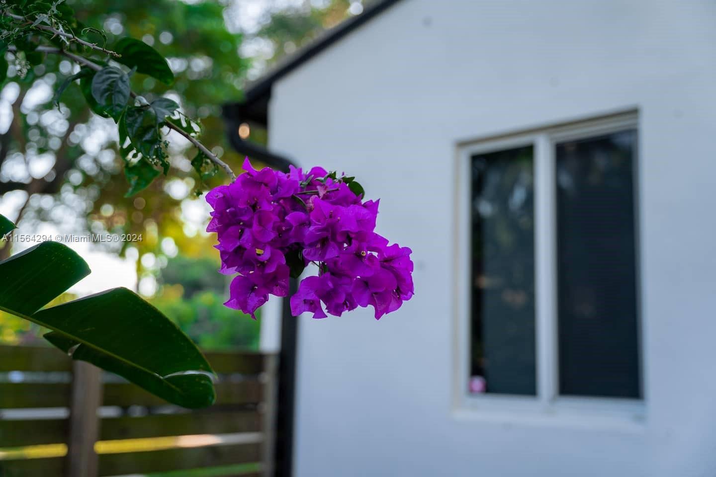 147 NW 87th St, El Portal, Florida 33150, 3 Bedrooms Bedrooms, ,2 BathroomsBathrooms,Residentiallease,For Rent,147 NW 87th St,A11564294