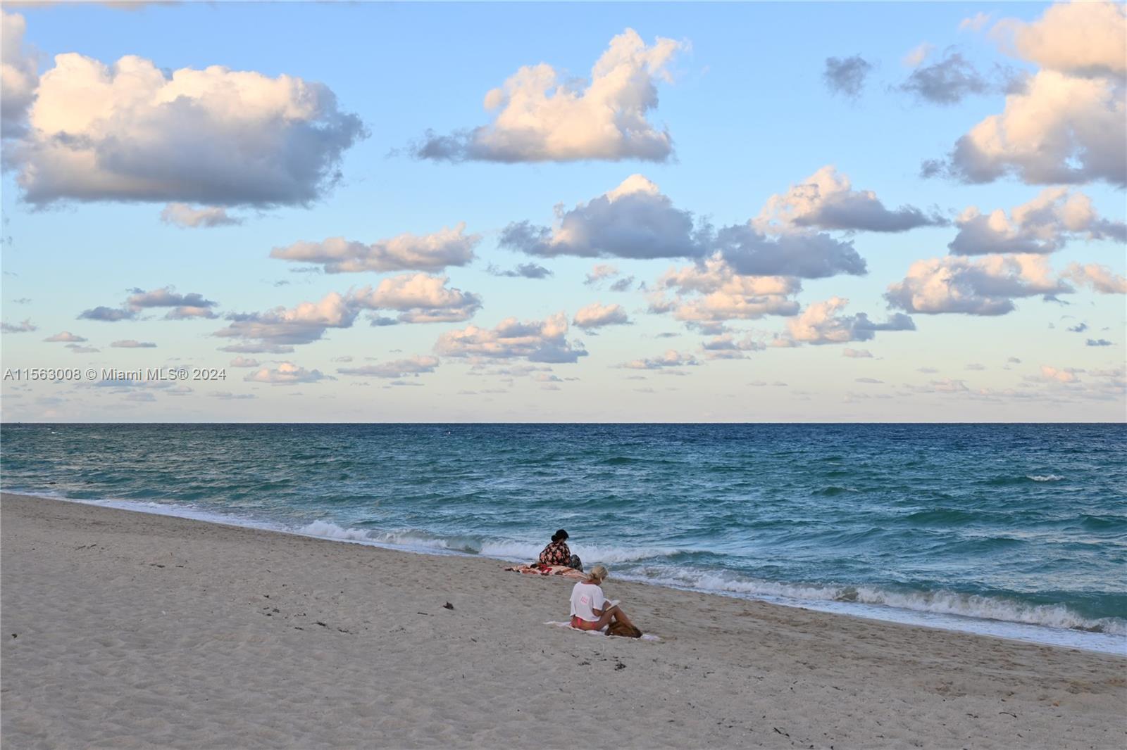 401 Ocean Dr 1123, Miami Beach, Florida 33139, 1 Bedroom Bedrooms, ,1 BathroomBathrooms,Residential,For Sale,401 Ocean Dr 1123,A11563008