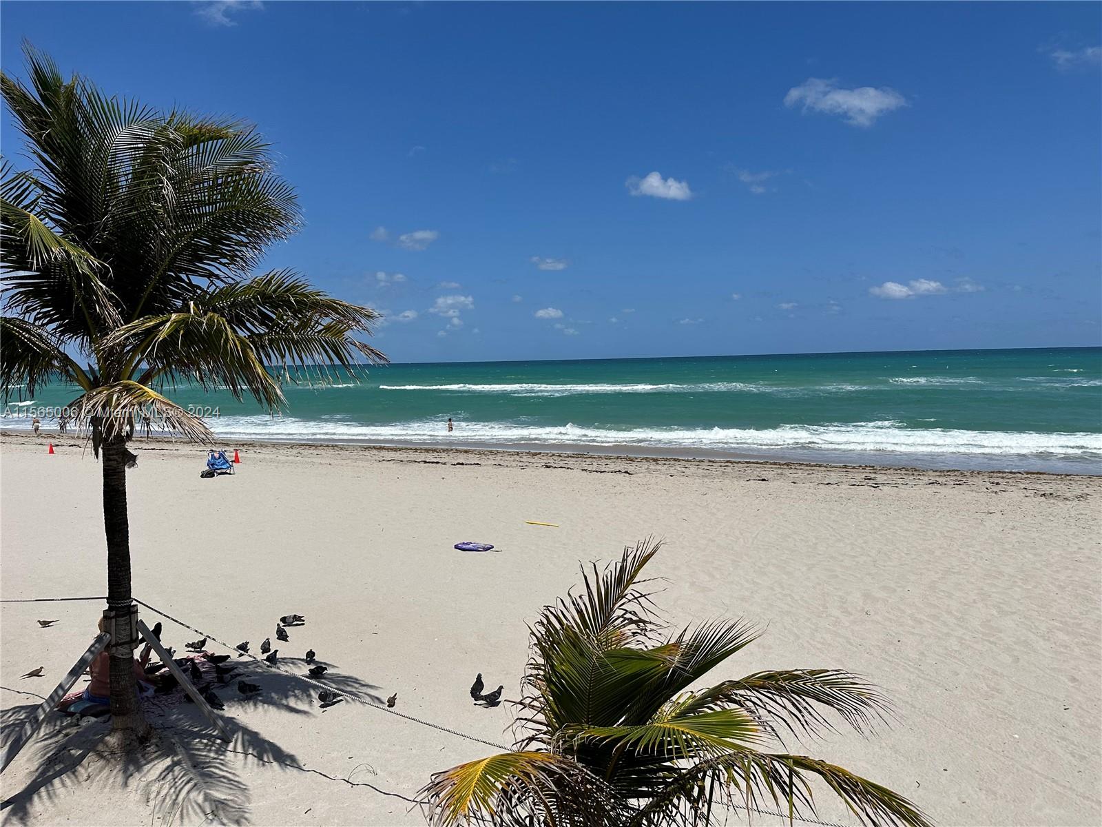 2030 S Ocean Dr 1611, Hallandale Beach, Florida 33009, 1 Bedroom Bedrooms, ,1 BathroomBathrooms,Residentiallease,For Rent,2030 S Ocean Dr 1611,A11565006