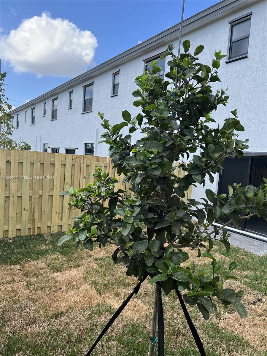 28735 SW 132nd Ct, Homestead, Florida 33033, 3 Bedrooms Bedrooms, ,2 BathroomsBathrooms,Residentiallease,For Rent,28735 SW 132nd Ct,A11565642