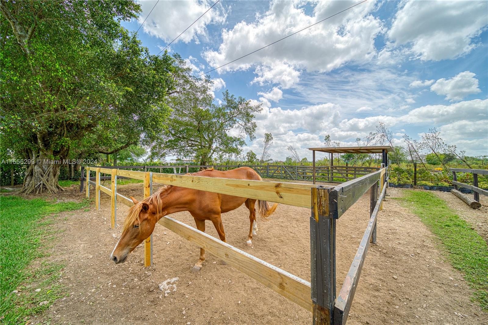 19980 SW 207th Ave, Miami, Florida 33187, 2 Bedrooms Bedrooms, ,2 BathroomsBathrooms,Residential,For Sale,19980 SW 207th Ave,A11556299