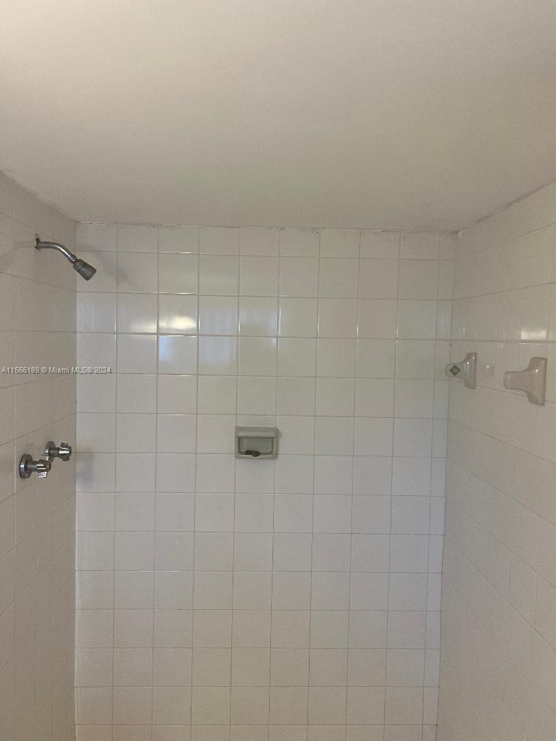master bedroom shower