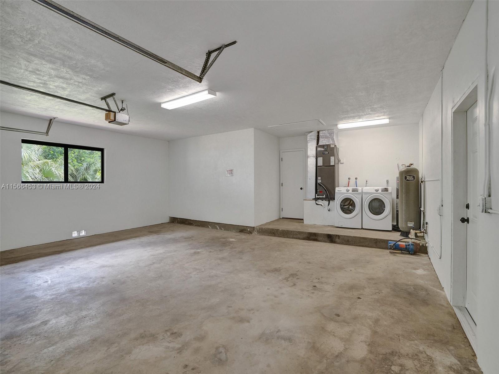 Amazing native trees and foliage