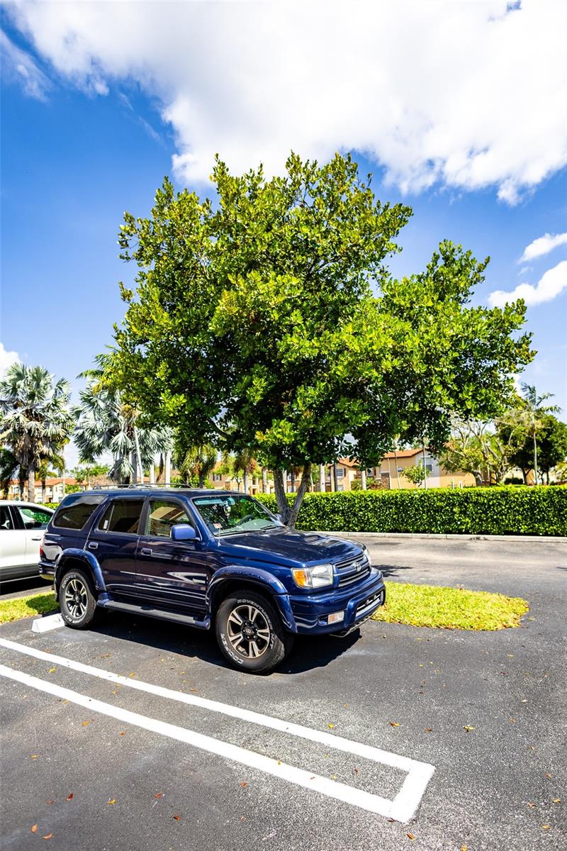 3370 NE 14th Dr 107-29, Homestead, Florida 33033, 2 Bedrooms Bedrooms, ,2 BathroomsBathrooms,Residential,For Sale,3370 NE 14th Dr 107-29,A11566017