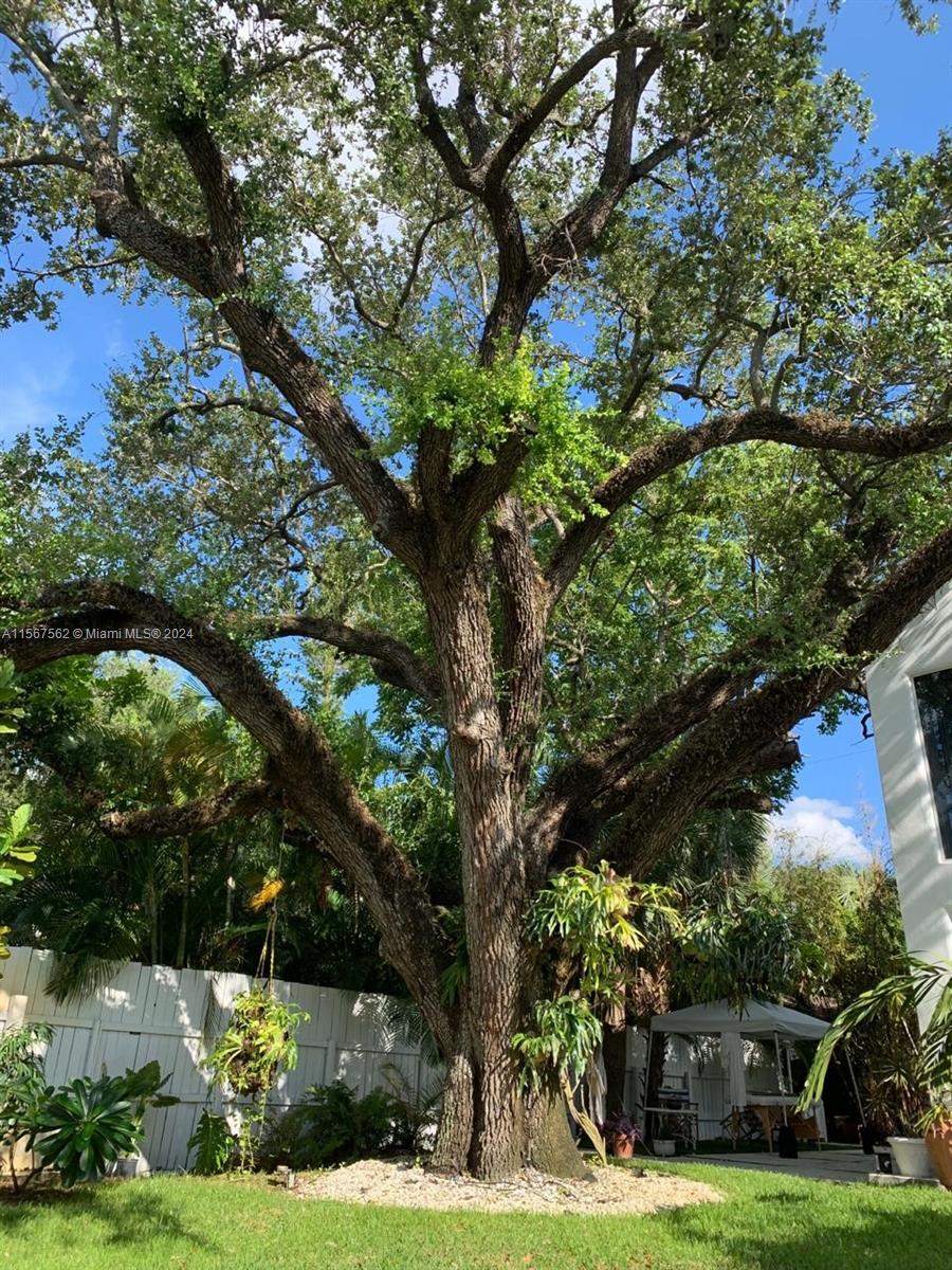652 NE 77th St, Miami, Florida 33138, 4 Bedrooms Bedrooms, ,3 BathroomsBathrooms,Residentiallease,For Rent,652 NE 77th St,A11567562