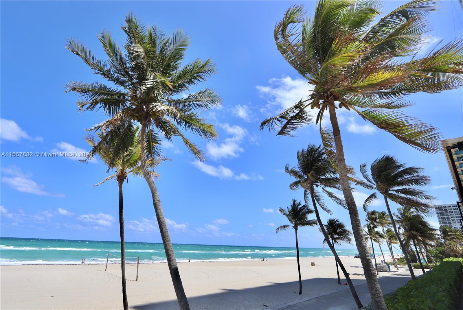 2401 S Ocean Dr 806, Hollywood, Florida 33019, 1 Bedroom Bedrooms, ,1 BathroomBathrooms,Residentiallease,For Rent,2401 S Ocean Dr 806,A11567882