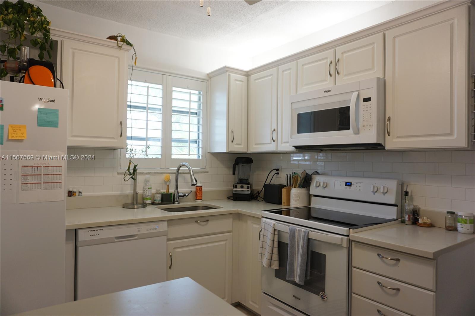 960 Benevento Ave 960, Coral Gables, Florida 33146, 2 Bedrooms Bedrooms, ,1 BathroomBathrooms,Residentiallease,For Rent,960 Benevento Ave 960,A11567569