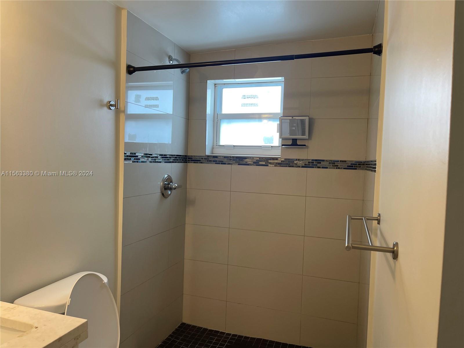 Master Bathroom Shower