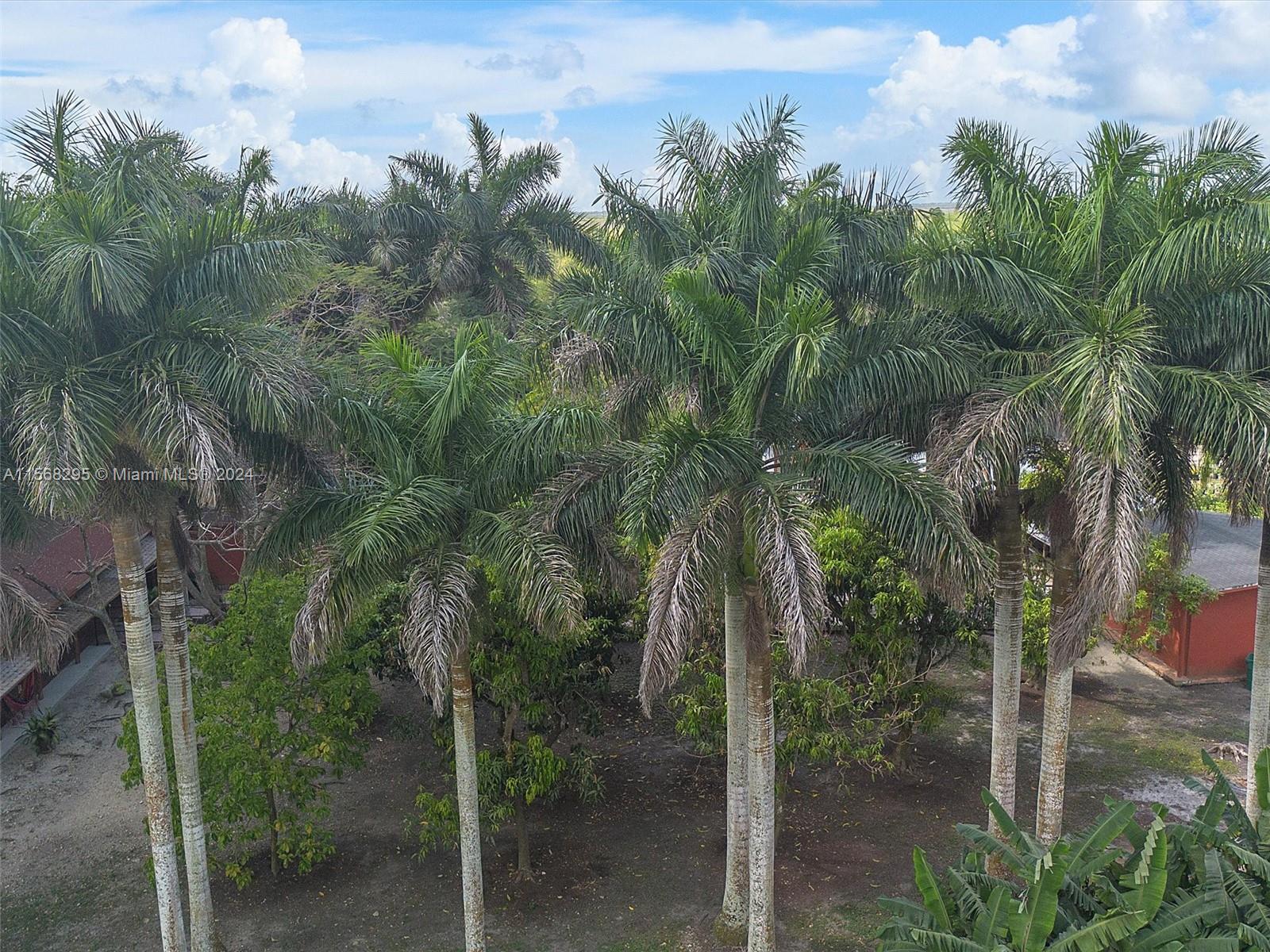 16450 SW 208th Ave, Miami, Florida 33187, 2 Bedrooms Bedrooms, ,2 BathroomsBathrooms,Residential,For Sale,16450 SW 208th Ave,A11568295