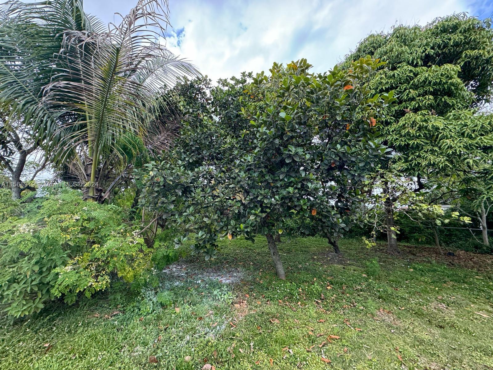 1865 NW 131st St, Miami, Florida 33167, 4 Bedrooms Bedrooms, ,2 BathroomsBathrooms,Residential,For Sale,1865 NW 131st St,A11568919