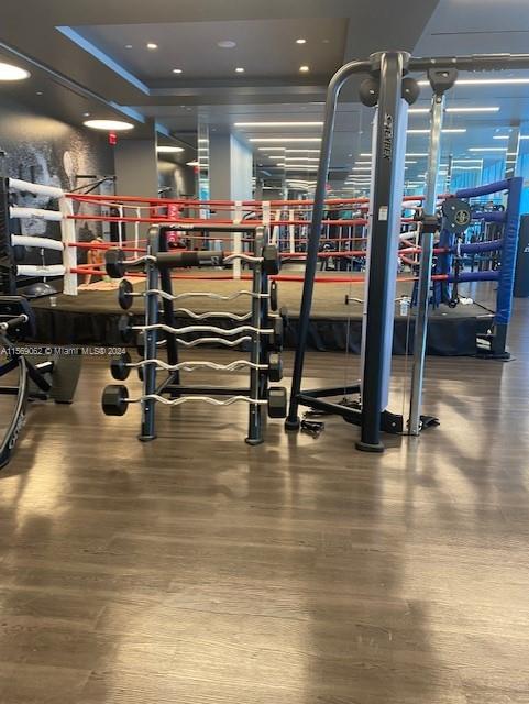 Gym and Box ring