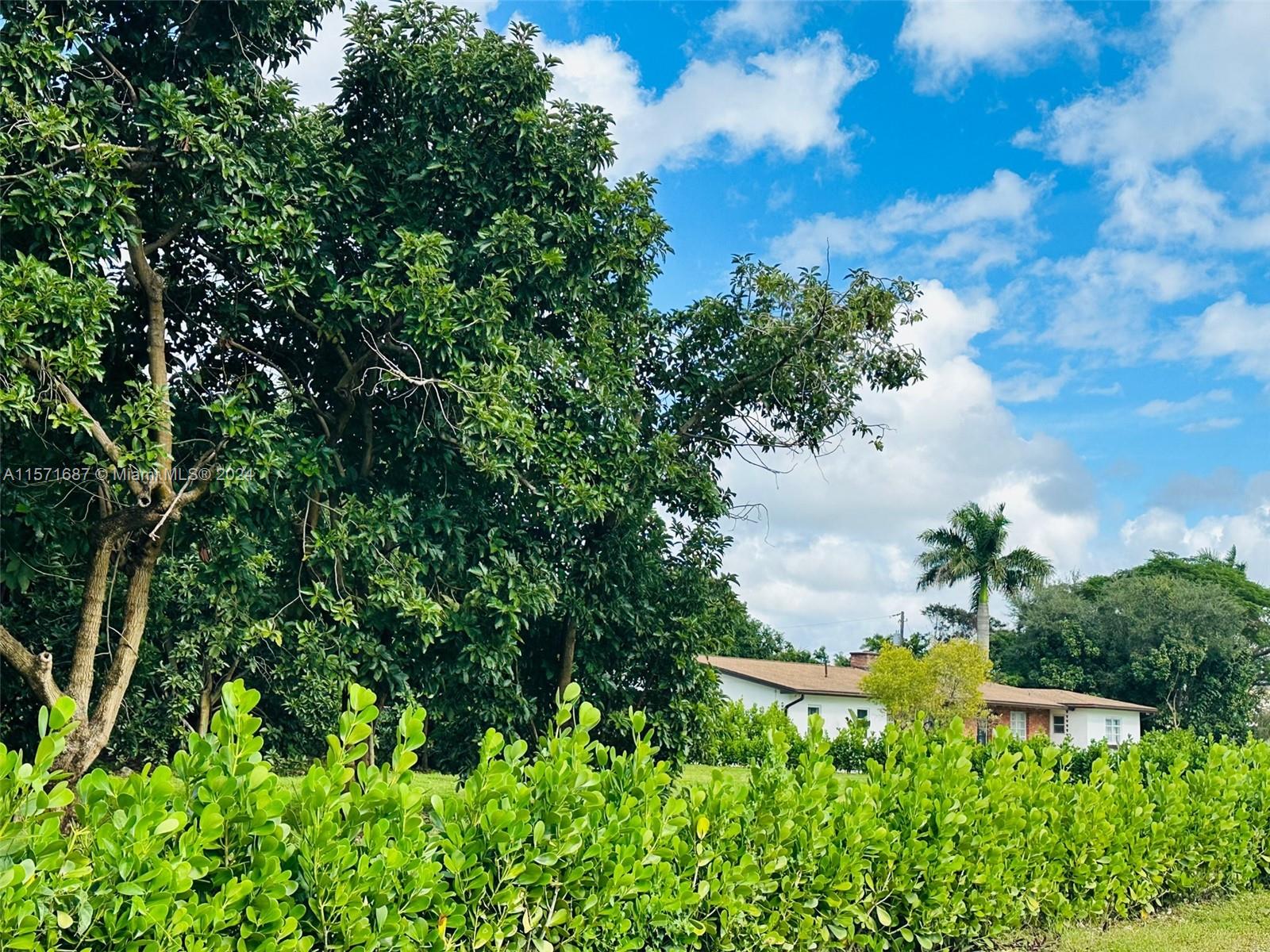 17295 SW 292nd St N/A, Homestead, Florida 33030, 4 Bedrooms Bedrooms, ,3 BathroomsBathrooms,Residentiallease,For Rent,17295 SW 292nd St N/A,A11571687