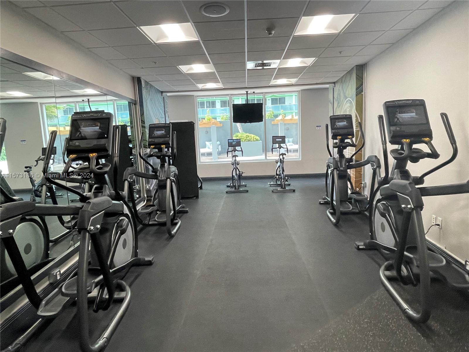 1750 N Bayshore Dr 3009, Miami, Florida 33132, 1 Bedroom Bedrooms, ,1 BathroomBathrooms,Residentiallease,For Rent,1750 N Bayshore Dr 3009,A11573186