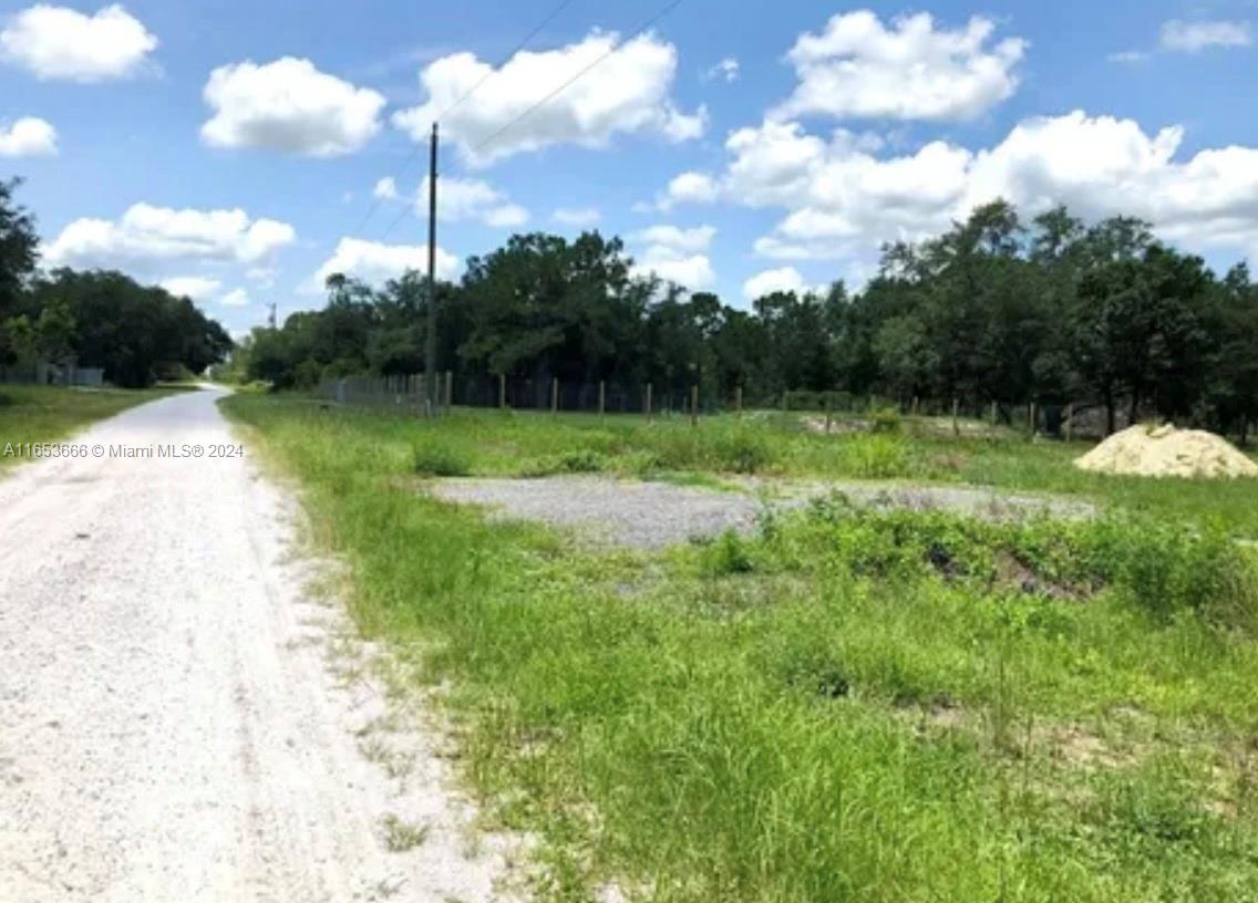 Land, Clewiston, Florida image 3