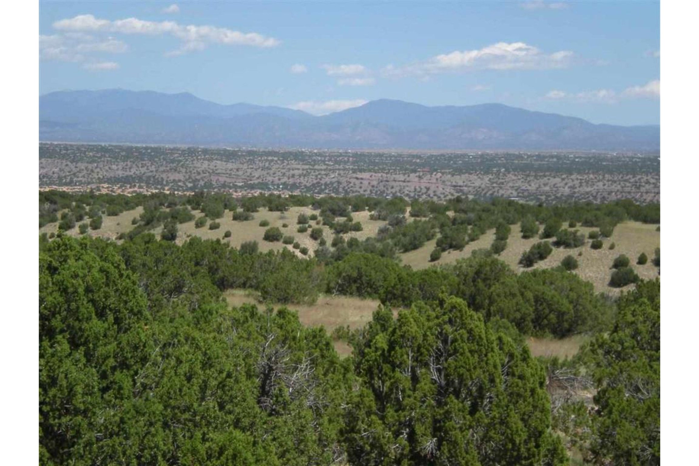 76 & 77 Blue Agave, Cerrillos, New Mexico 87010, ,Land,For Sale,76 & 77 Blue Agave,202200604