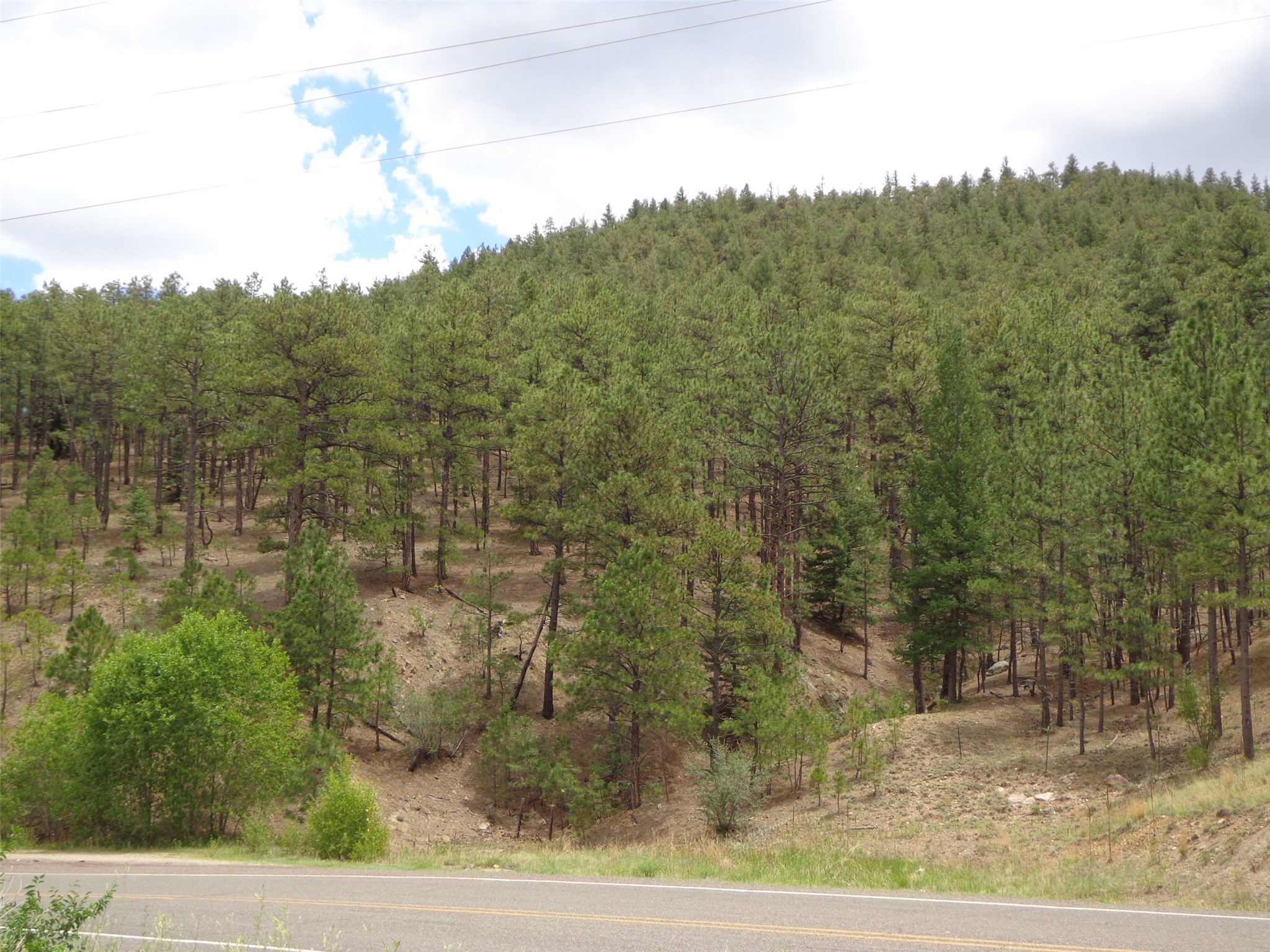 off A037, Mora, New Mexico 87732, ,Land,For Sale,off A037,202232018