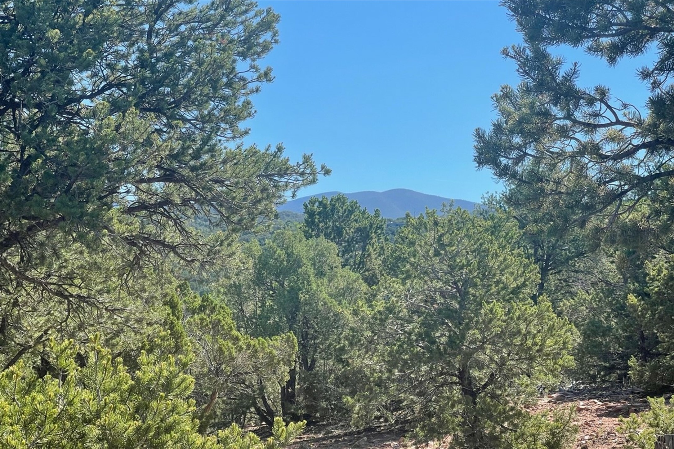 1805 Kachina Heights Lot 2, Santa Fe, New Mexico 87501, 3 Bedrooms Bedrooms, ,3 BathroomsBathrooms,Residential,For Sale,1805 Kachina Heights Lot 2,202234647