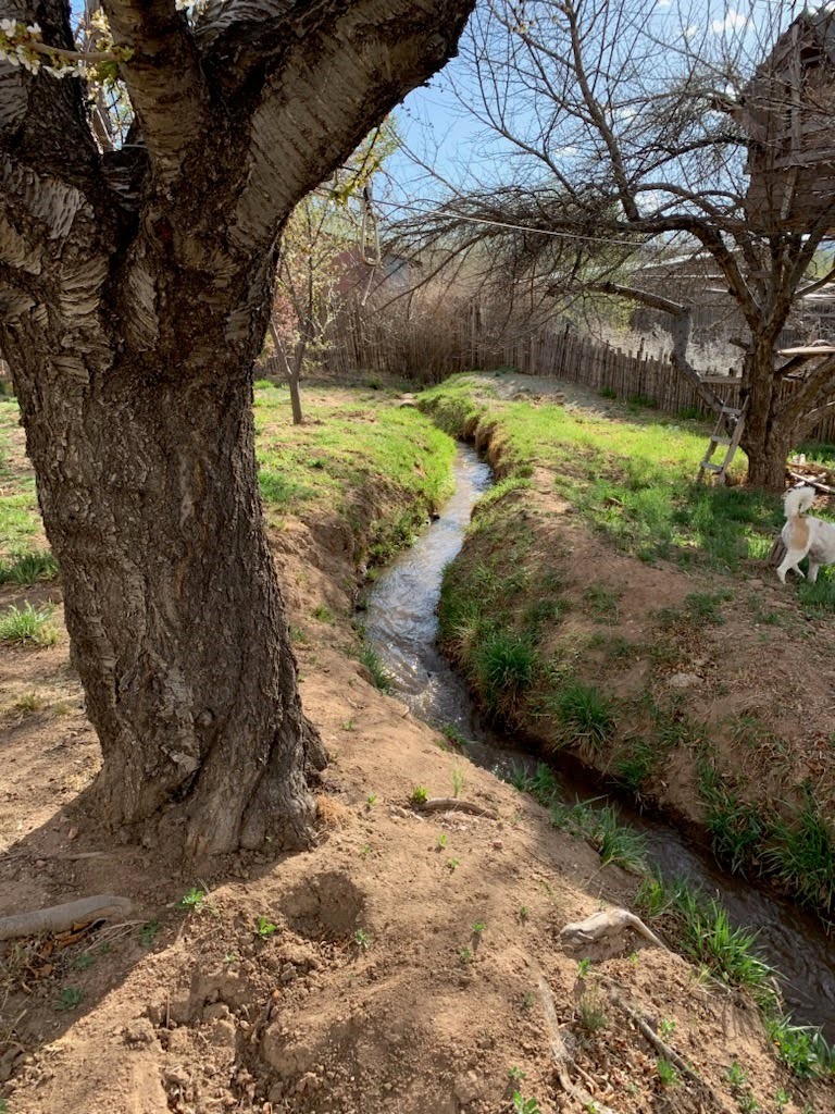  irrigation ditch and several different fruit trees