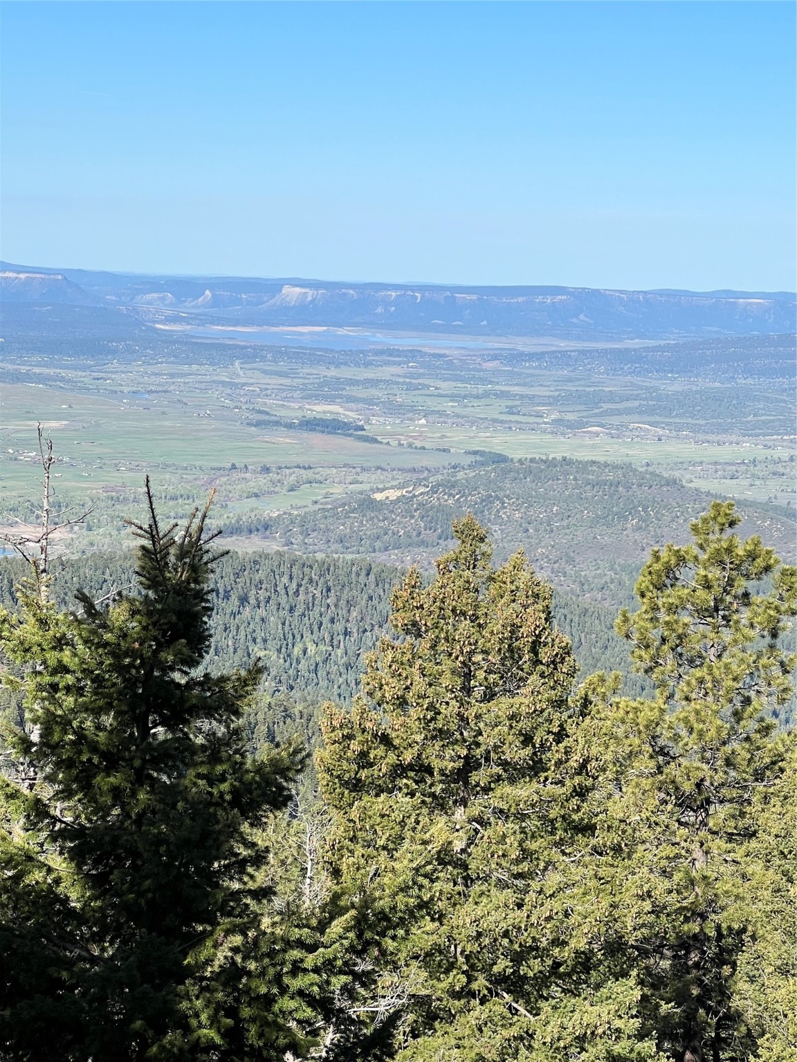 TBD TBD, Chama, New Mexico 87520, ,Land,For Sale,TBD TBD,202400603