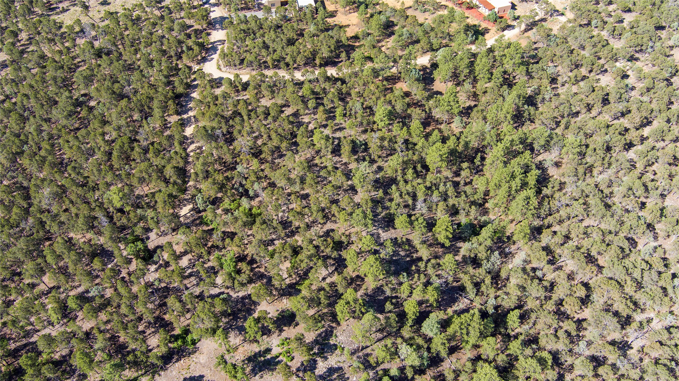Aerial view of driveway & Los Nidos at top of photo