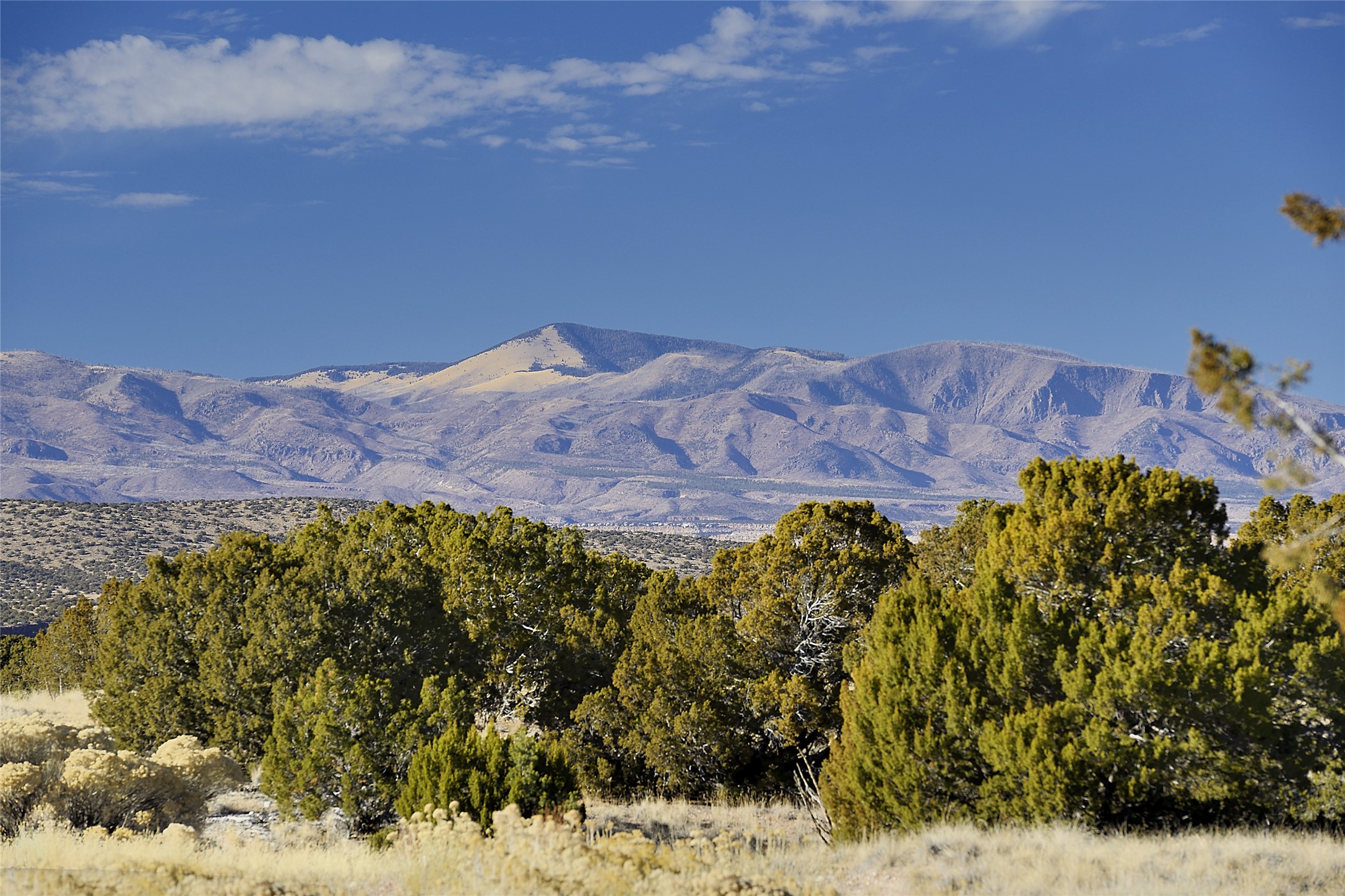 10 Campo Rancheros Lot 66, Santa Fe, New Mexico 87506, ,Land,For Sale,10 Campo Rancheros Lot 66,202401345