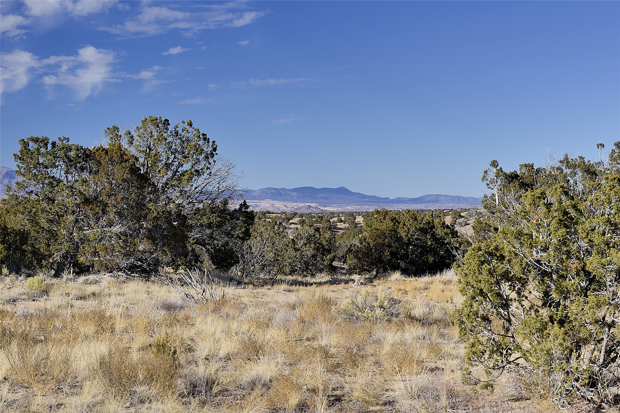 10 Campo Rancheros Lot 66, Santa Fe, New Mexico 87506, ,Land,For Sale,10 Campo Rancheros Lot 66,202401345