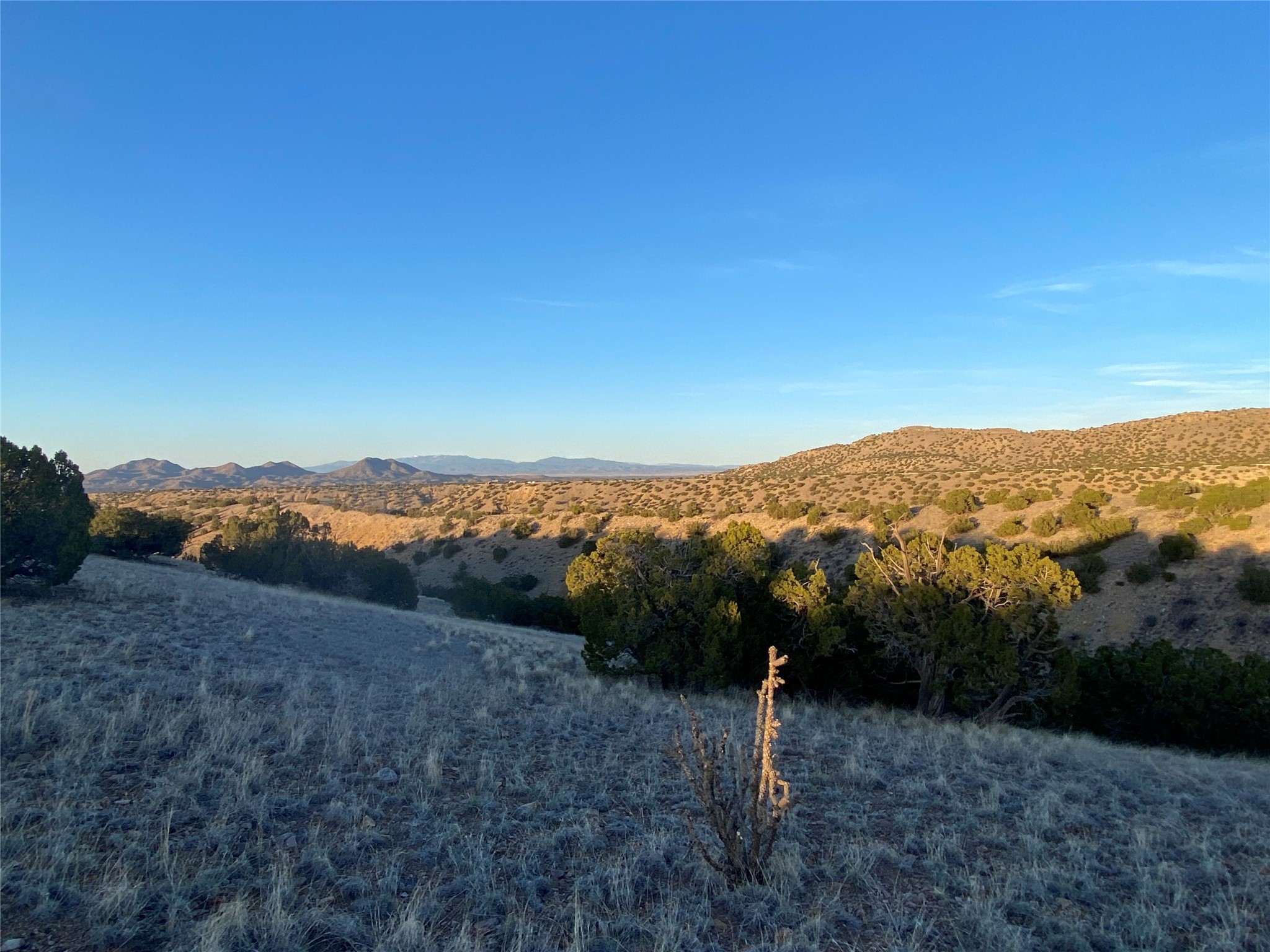 TBD Camino Cerro Chato, Cerrillos, New Mexico 87010, ,Land,For Sale,TBD Camino Cerro Chato,202401368