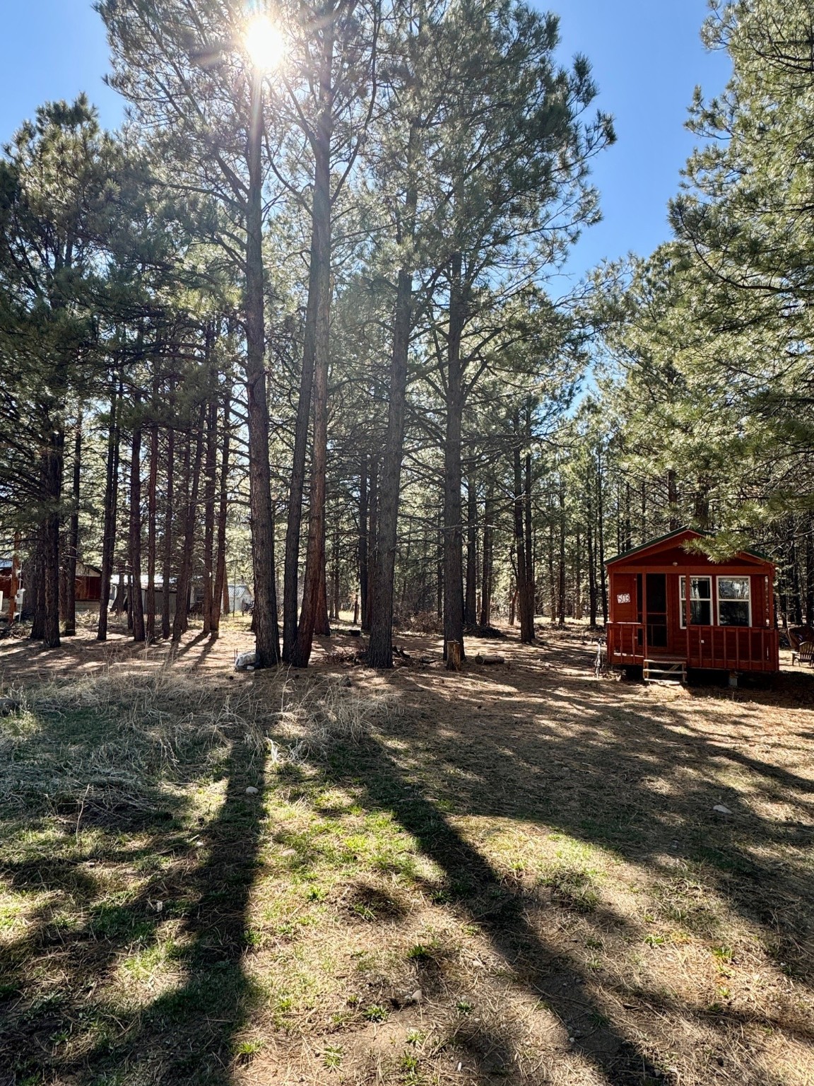 503 Ladd Circle, Chama, New Mexico 87520, ,Land,For Sale,503 Ladd Circle,202401433