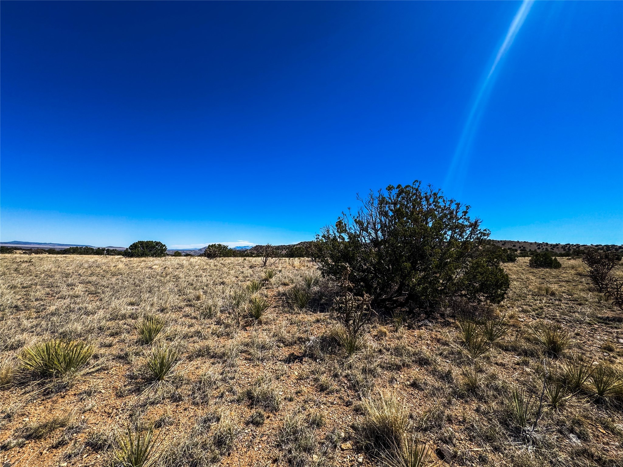 0 Red Rock Road, Cerrillos, New Mexico 87010, ,Land,For Sale,0 Red Rock Road,202401349