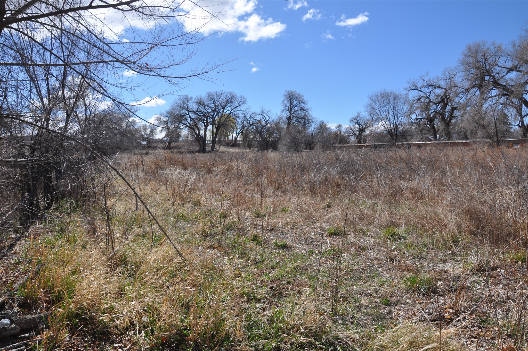527/529 County RD 41, Alcalde, New Mexico 87511, ,Land,For Sale,527/529 County RD 41,202401447