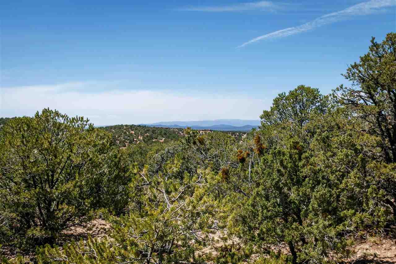 2059 Cerros Altos, Santa Fe, New Mexico 87501, ,Land,For Sale,2059 Cerros Altos,202401556