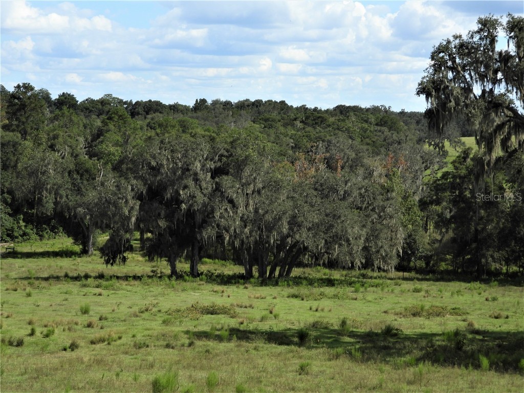Details for 62 Acres Chipco Ranch Road, DADE CITY, FL 33523