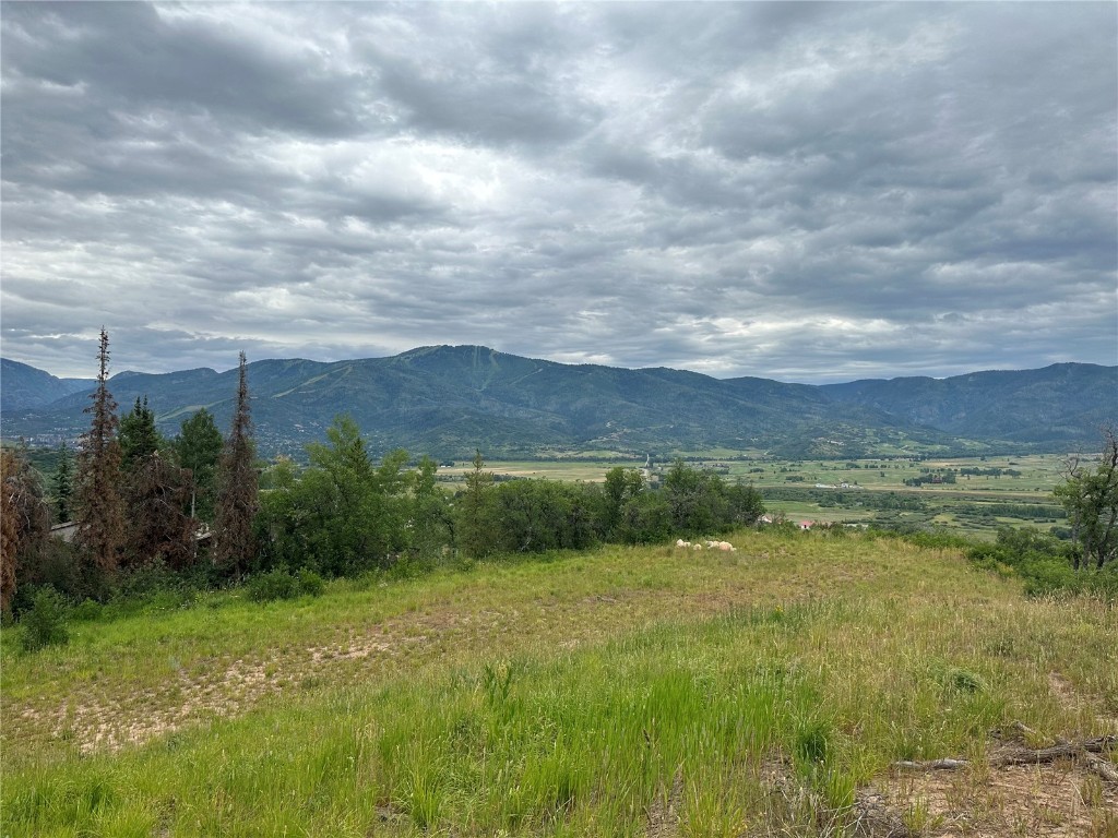 30880 Chickadee Lane, Steamboat Springs, CO 80487 Listing Photo  2