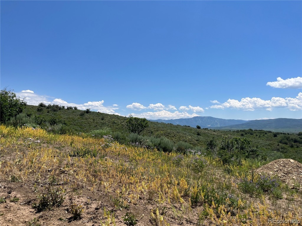 TBD County Road 46, Steamboat Springs, CO 80487 Listing Photo  11