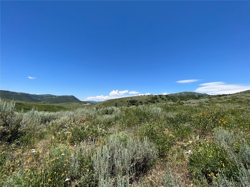 TBD County Road 46, Steamboat Springs, CO 80487 Listing Photo  16